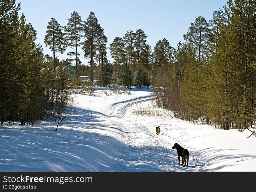 Country road