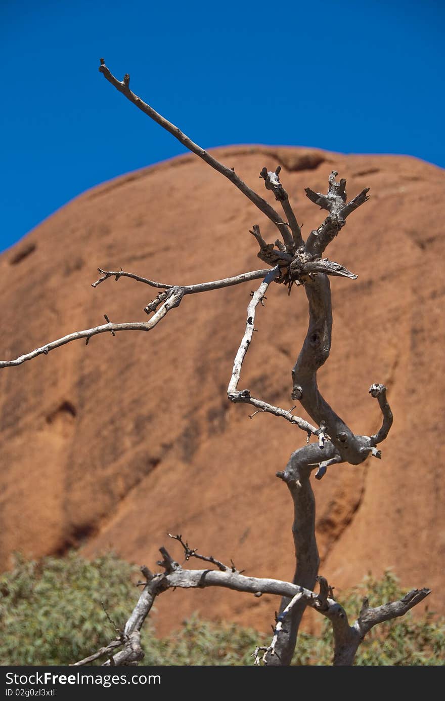 Australian Outback during Austral Winter, 2009