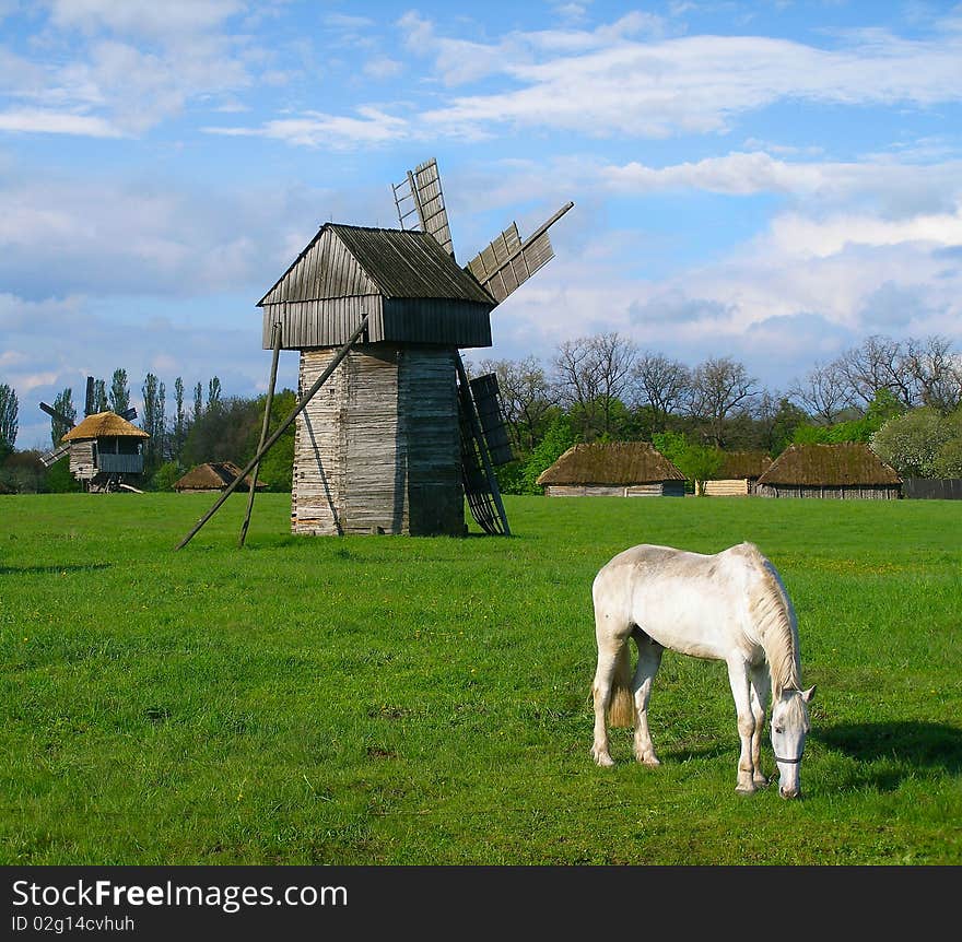 A white horse grazing near a wooden mill on the spring meadow near the old village. A white horse grazing near a wooden mill on the spring meadow near the old village