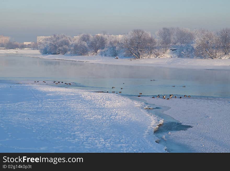 Winter landscape