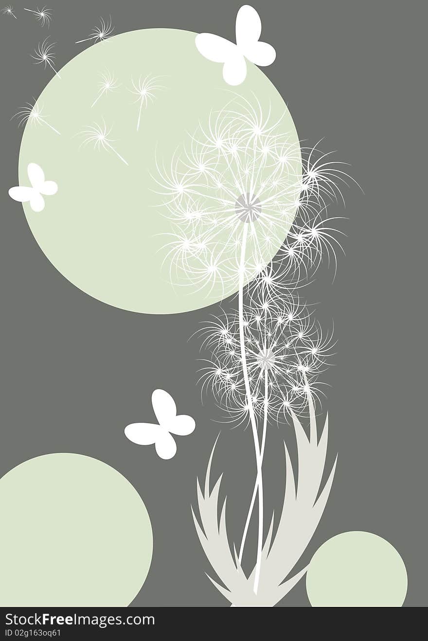 Modern floral design with dandelions and butterflies. Modern floral design with dandelions and butterflies