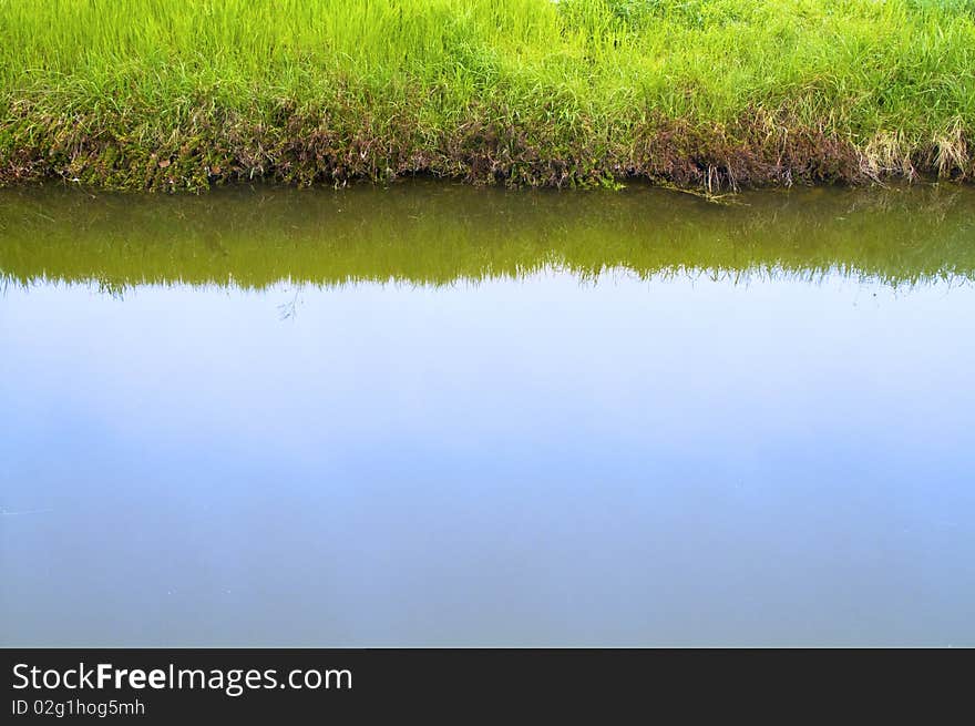 River with a meadow on the bank