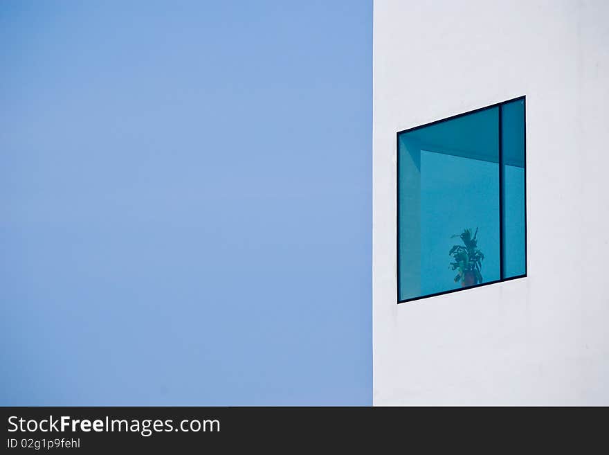 Modern white building with window showing a plant. Modern white building with window showing a plant.