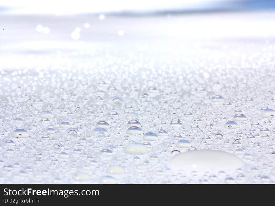 Many fresh water drop in the morning. Many fresh water drop in the morning.