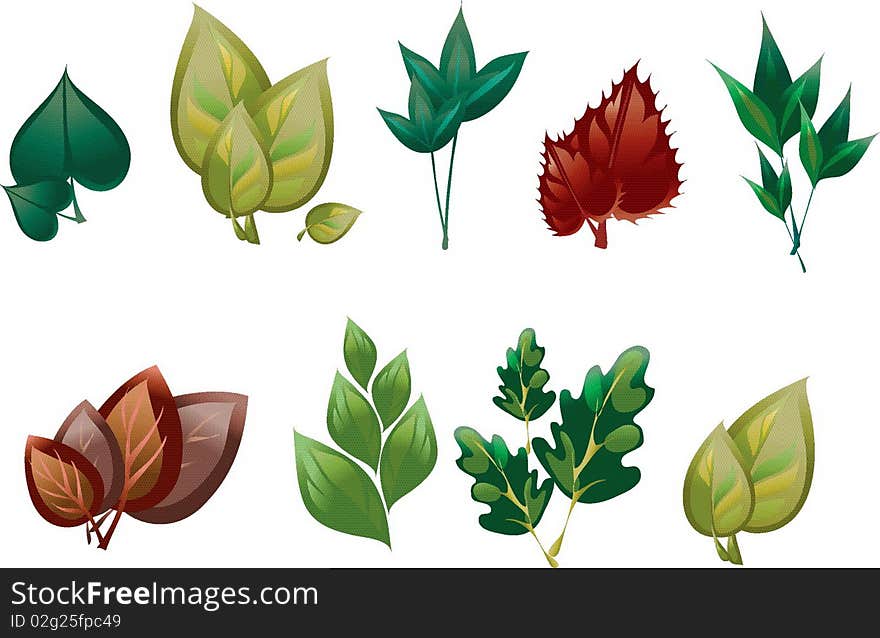 Image of different leaves of different trees