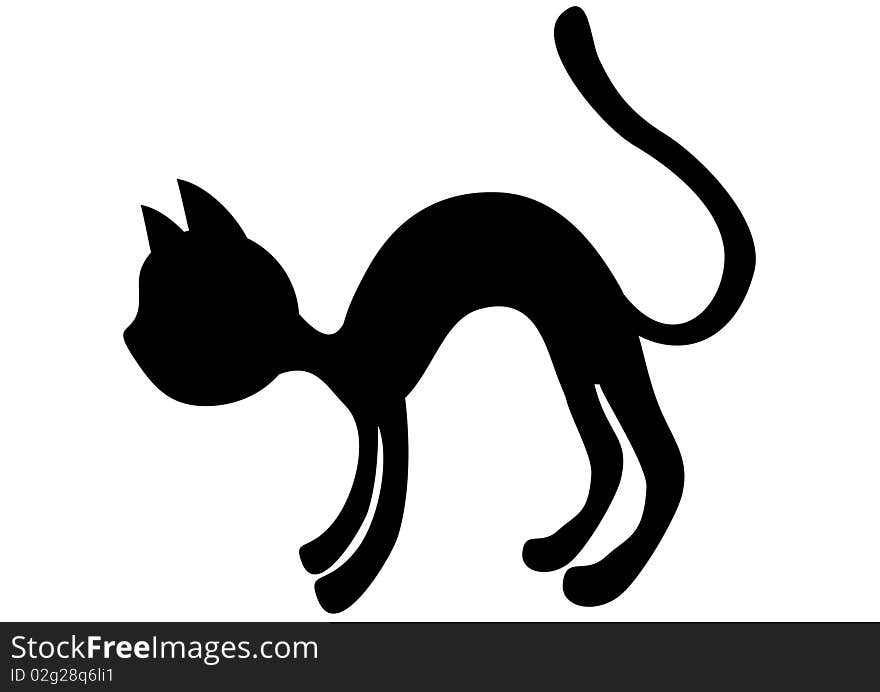 Black kitten on white background