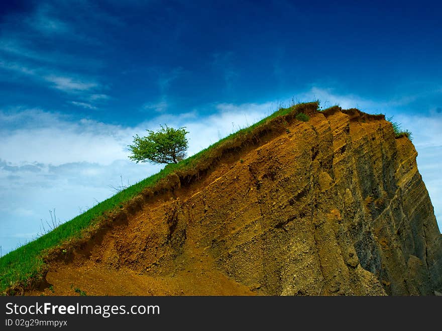 Tree growing on margin of an old mine