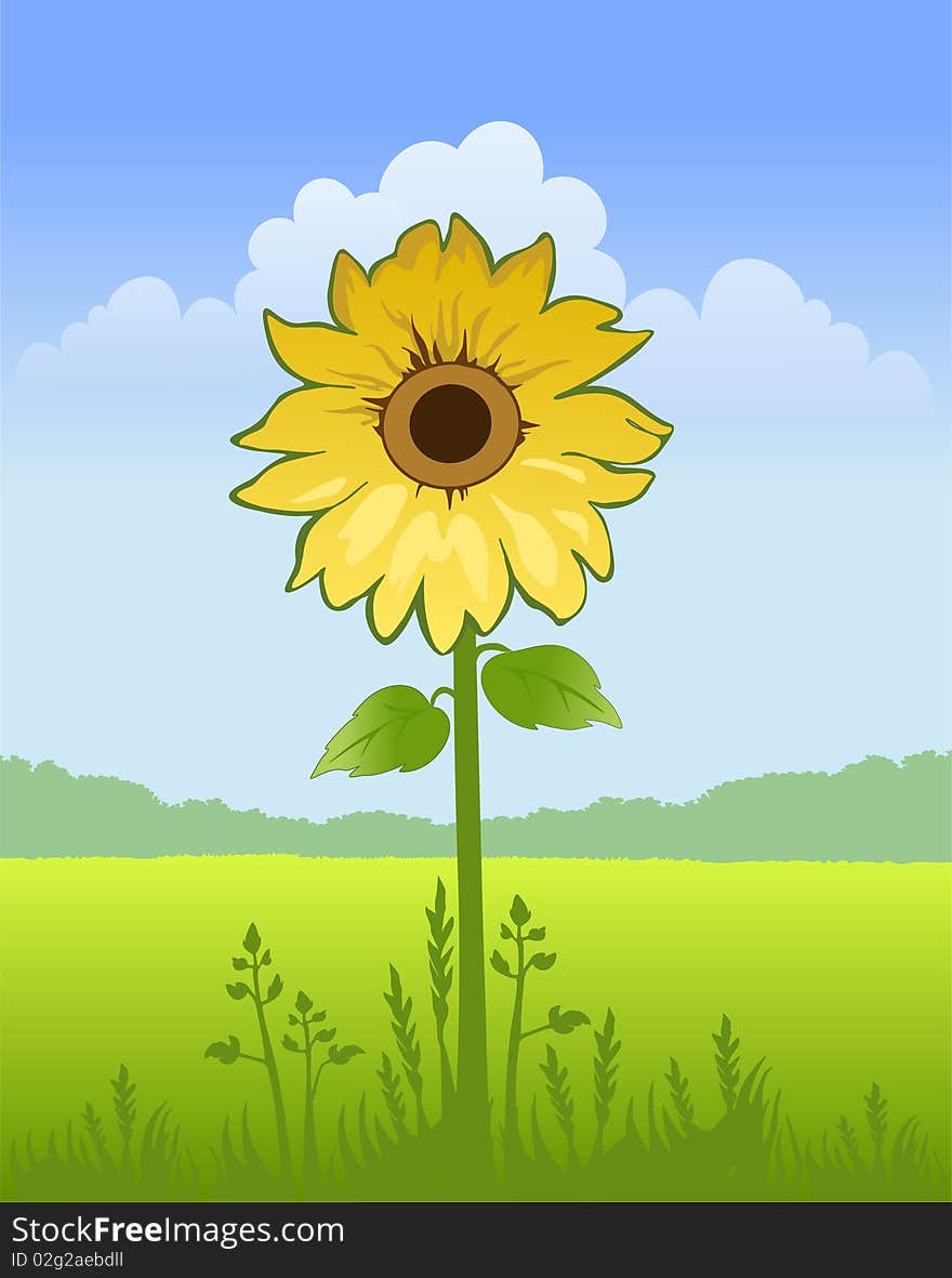 Summer sunny landscape with yellow sunflower and grass