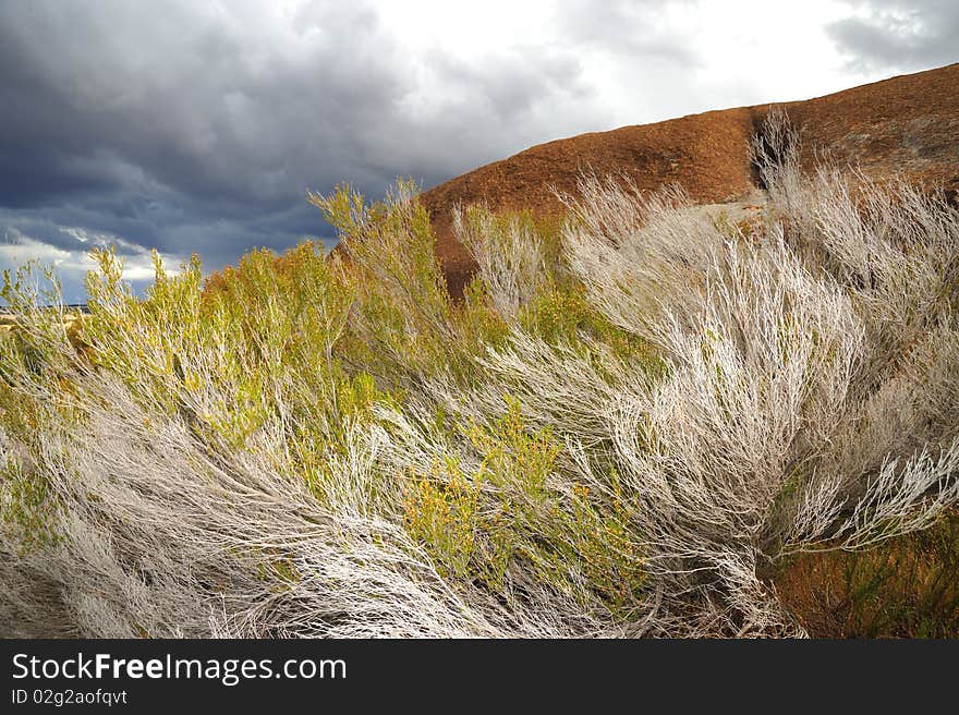 Australia - landscape near Hyden rock