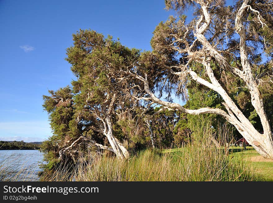 Australia - Landscape In Flinders Bay