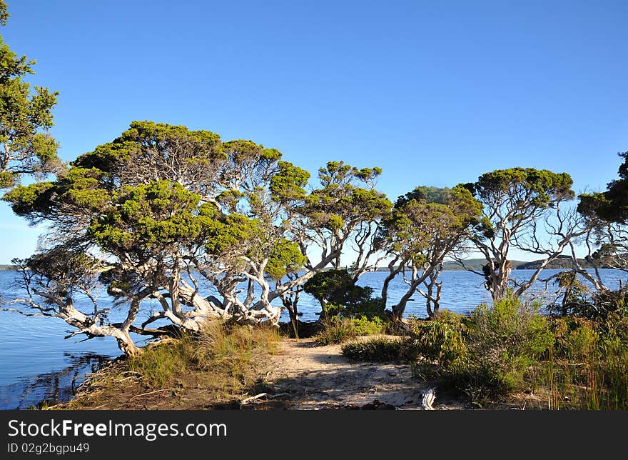 Australia - landscape in Flinders Bay