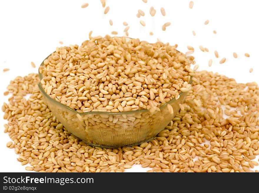 Wheat Crop falling into a plate -
against white background