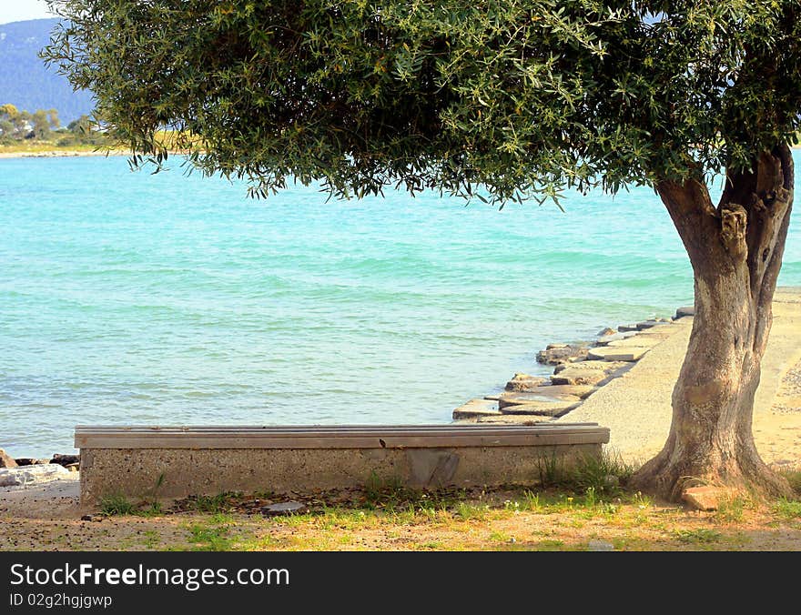 Bank under the tree with sea view. Bank under the tree with sea view