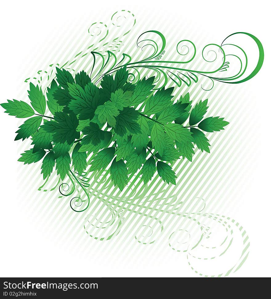 The  illustration contains the image of spring branch