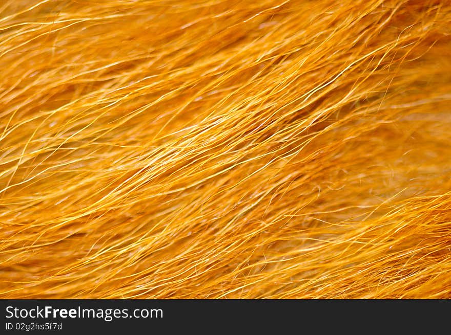 A close up shot of a long haired sheepskin, suitable for overlay or backgrounds. A close up shot of a long haired sheepskin, suitable for overlay or backgrounds.