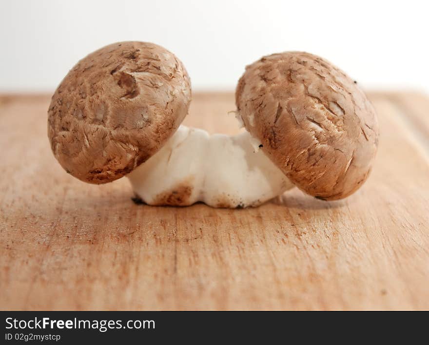 Fresh mushrooms group closeup on brown background