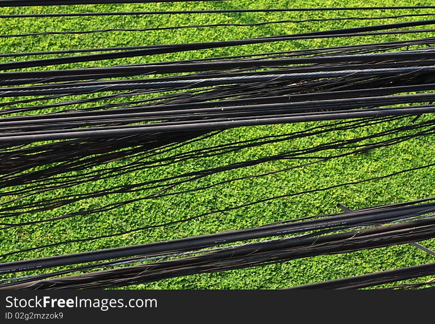 Black powerful Cable on the gentle green grass. Black powerful Cable on the gentle green grass