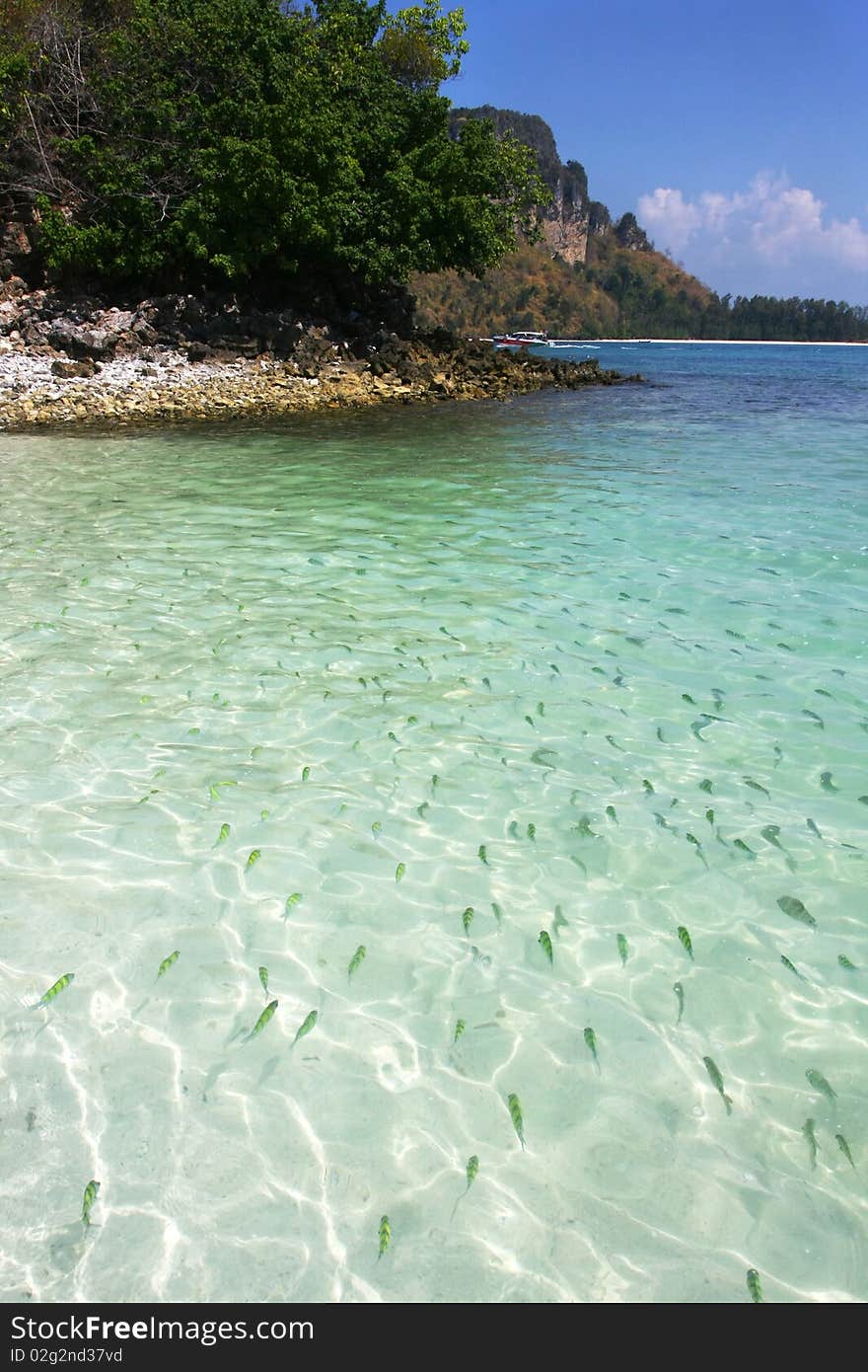 The blue sky and transparent sea with cute fish. The blue sky and transparent sea with cute fish