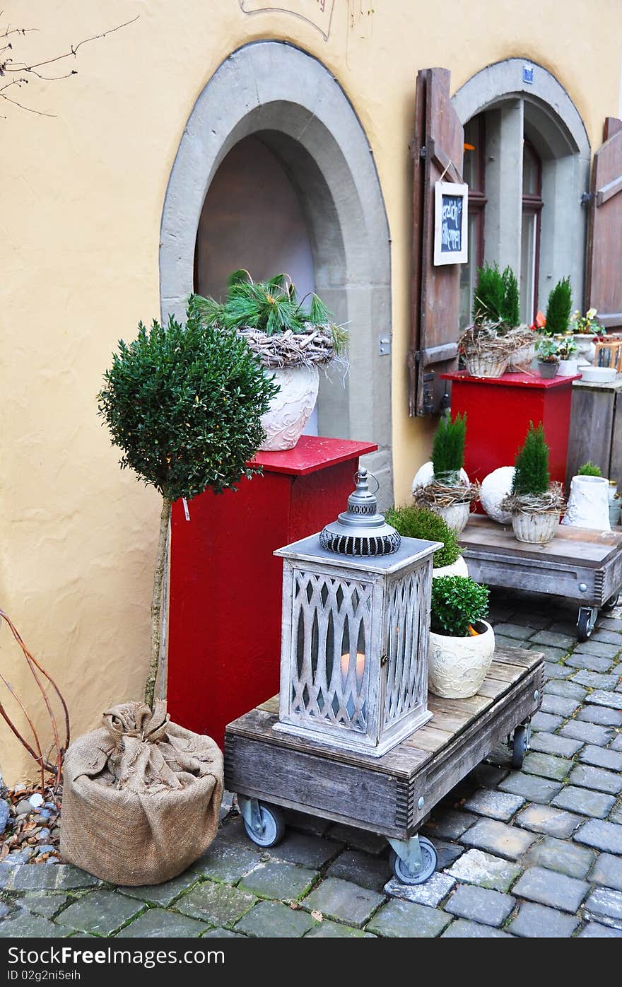 Green plants in the pots