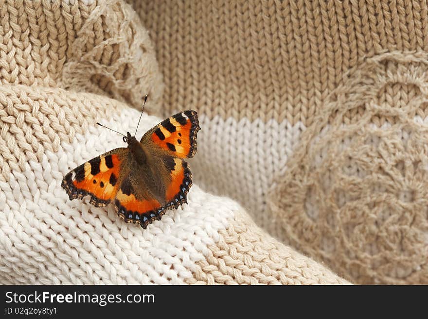 Butterfly seat at hand made sweater on sleeve