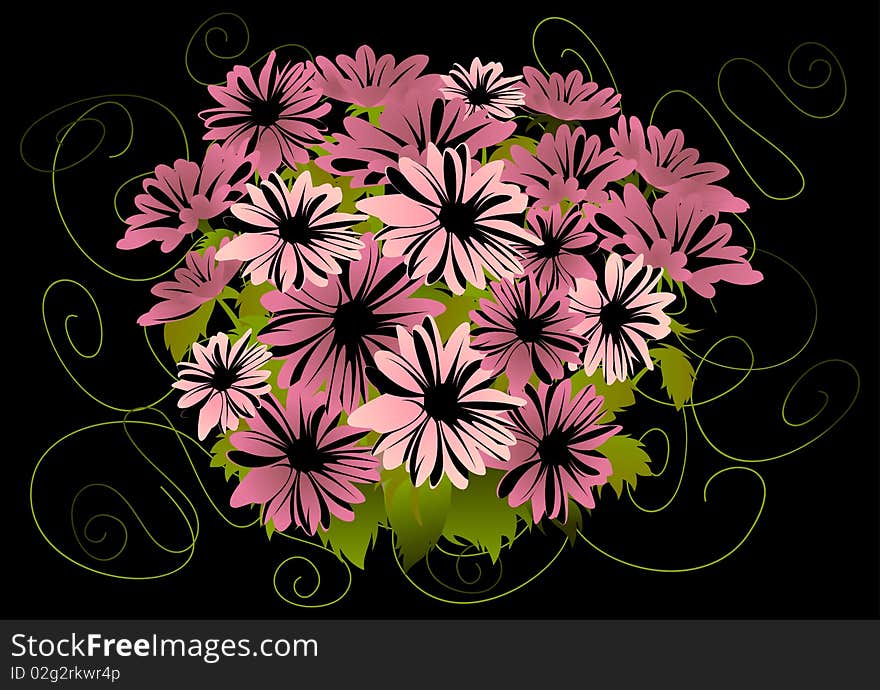 Abstract pink asters with dark background