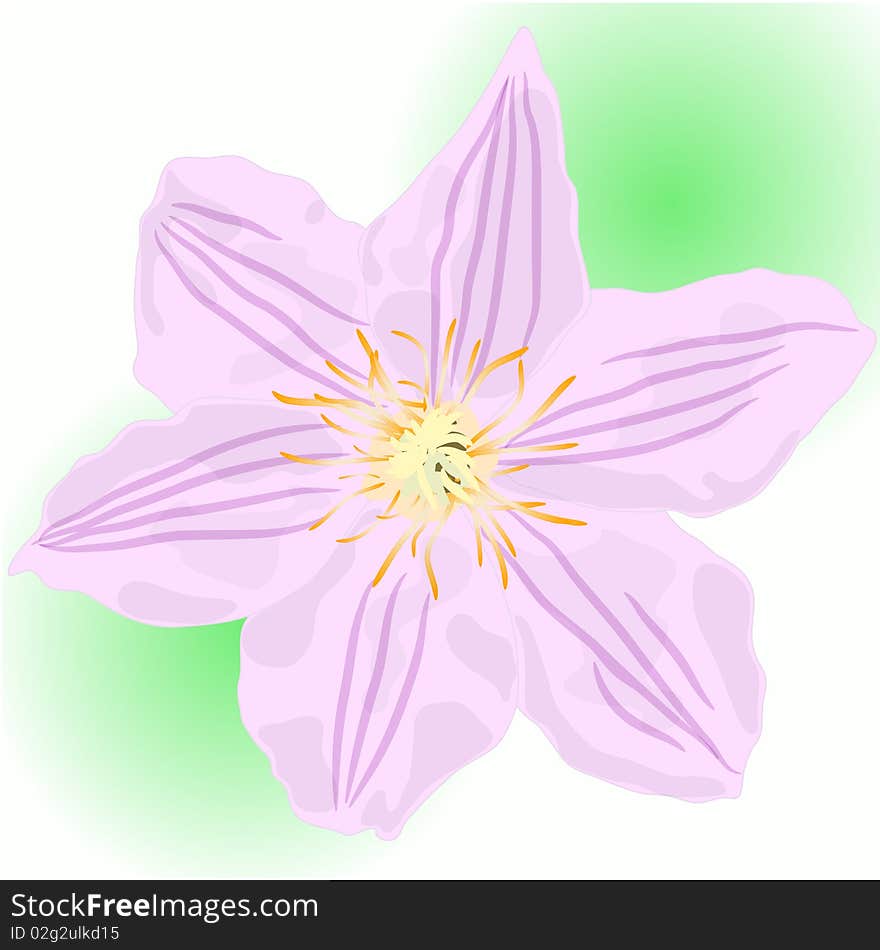 It's Flover. Created in Illustrator(with vector). It's Flover. Created in Illustrator(with vector)