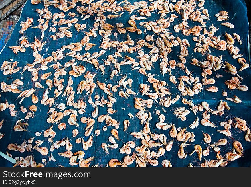 Fresh prawns will be dried in Koh Chang, Thailand