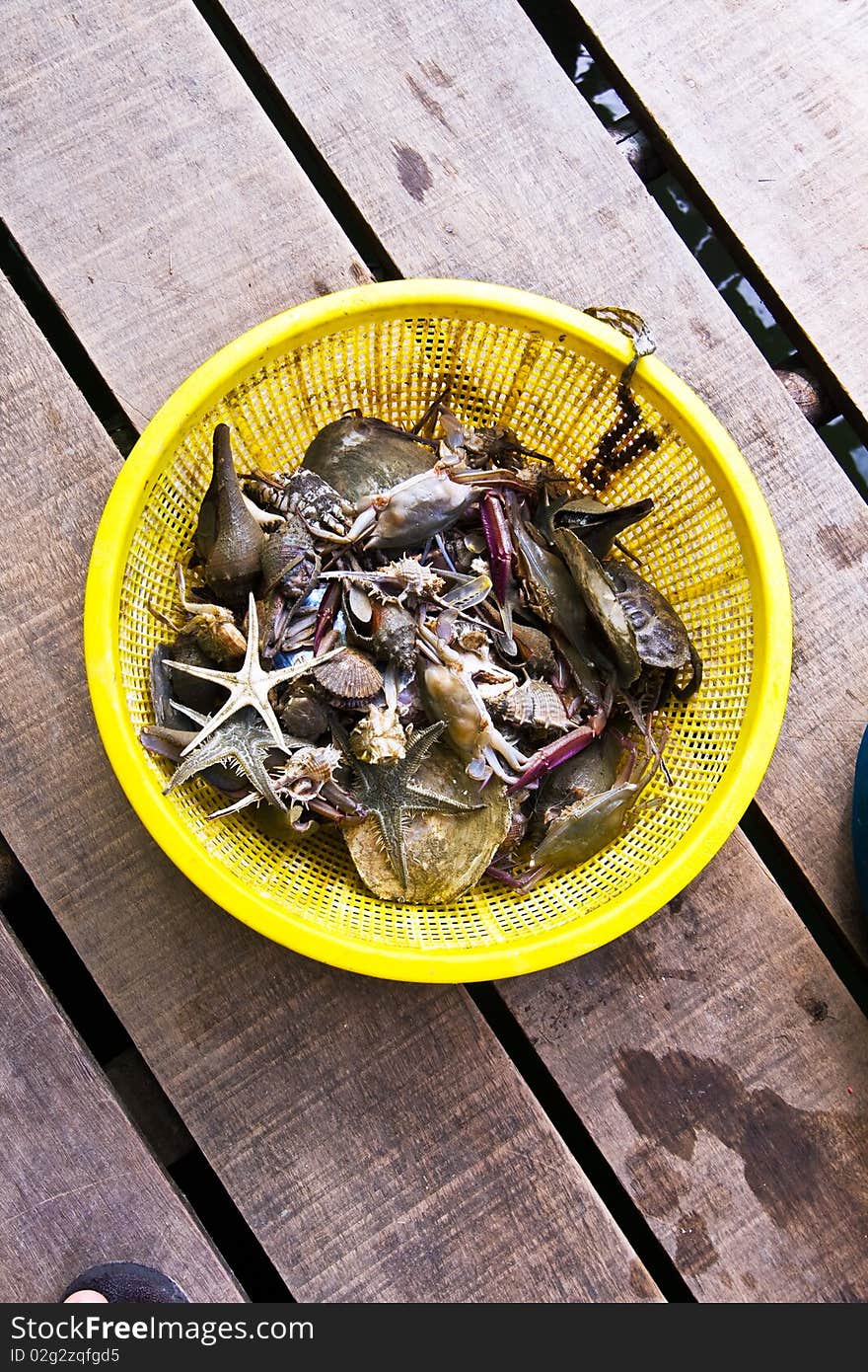 Crabs, fish, seastar, marine life in a yellow basket collected from afishermans net