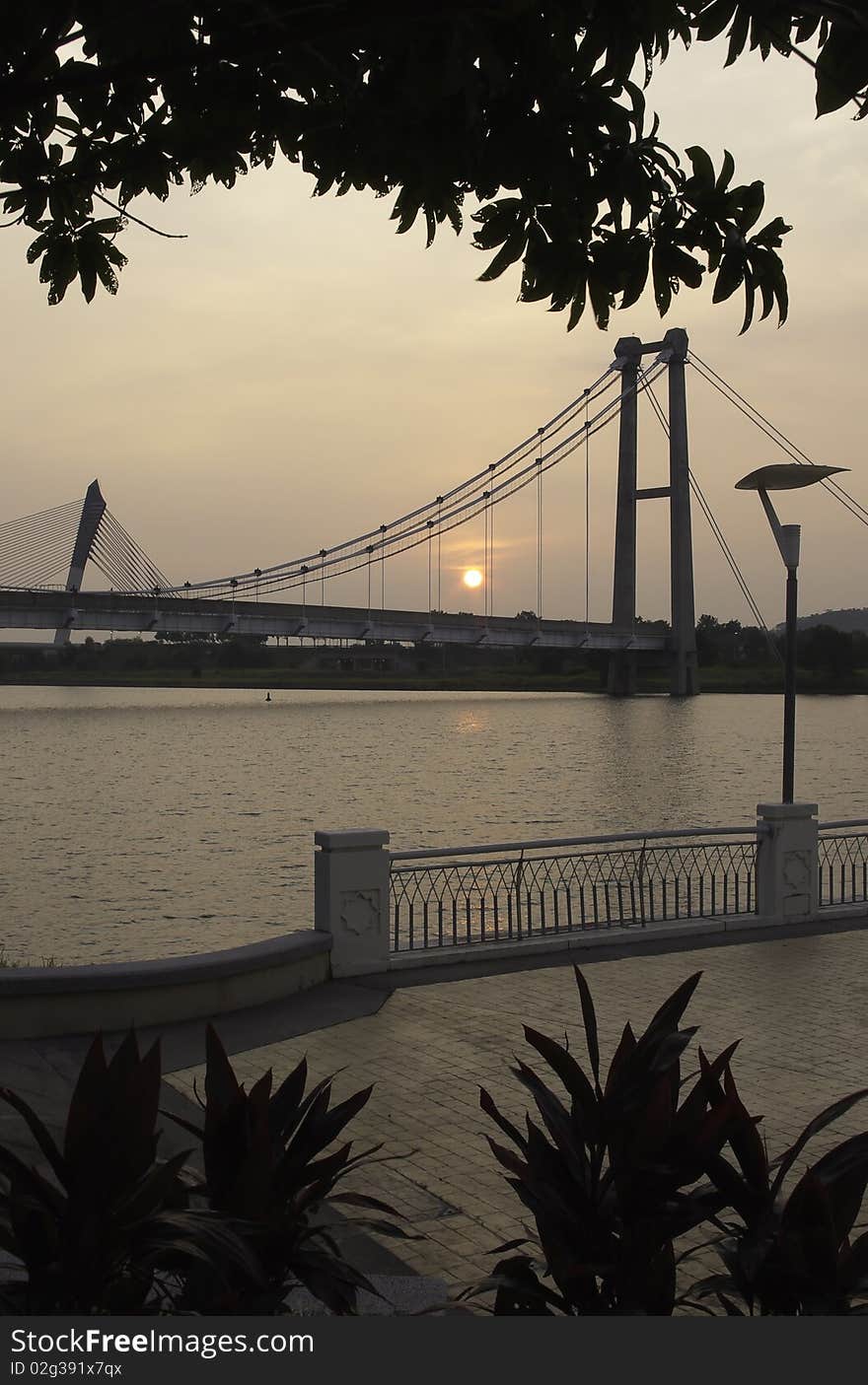 Scenic view of sunset seen in the middle of cable-stayed suspension bridge across lake framed by silhouette of tree and shrub on the lakefront. Scenic view of sunset seen in the middle of cable-stayed suspension bridge across lake framed by silhouette of tree and shrub on the lakefront