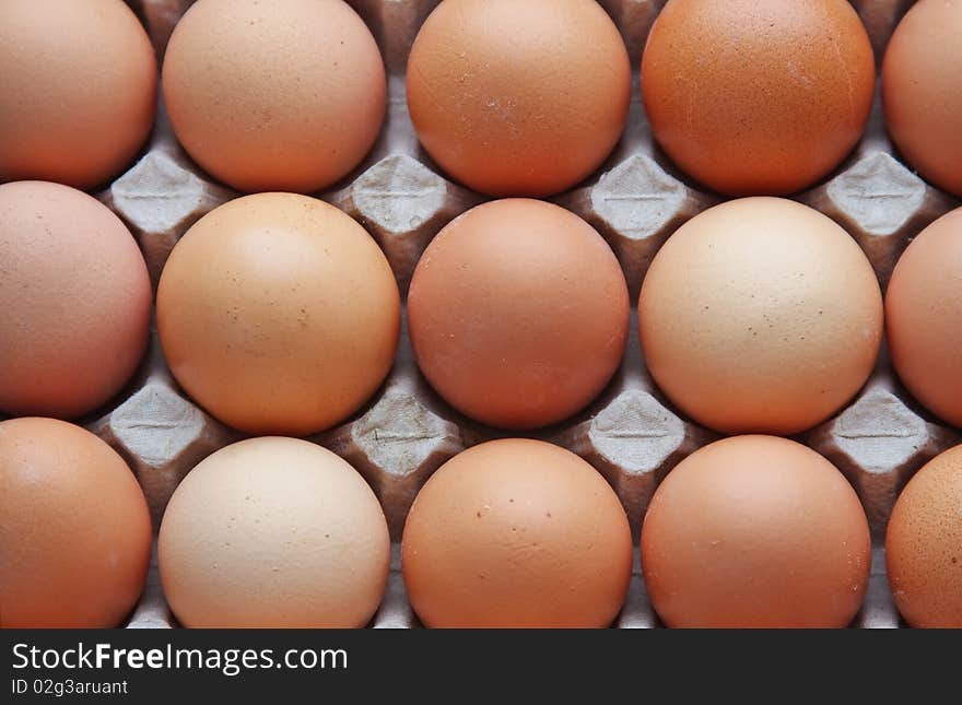 Eggs in a protective container. Eggs in a protective container