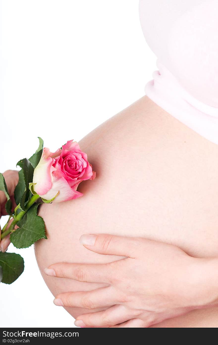 Pregnant girl with rose in the hand on white background