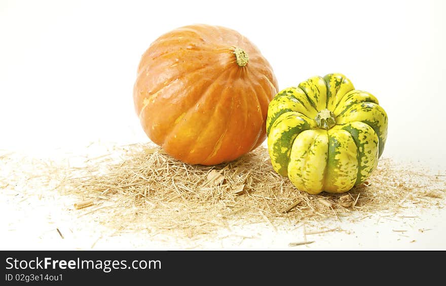 Two pumpkins on sawdust - on a white background. Two pumpkins on sawdust - on a white background