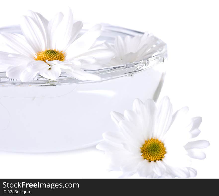 Flowers in water isolated on white