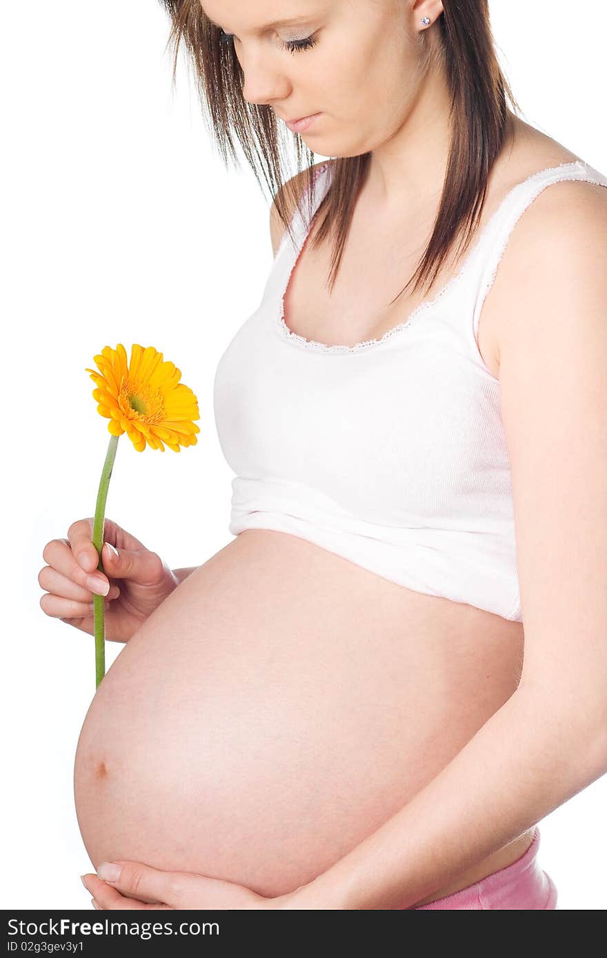 Pregnant girl looking at orange gerbera flower in the hand. Pregnant girl looking at orange gerbera flower in the hand