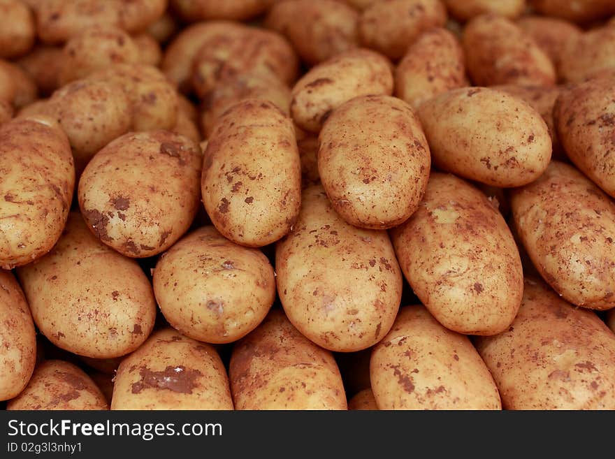 Bunch of stacked yellow organic potatos