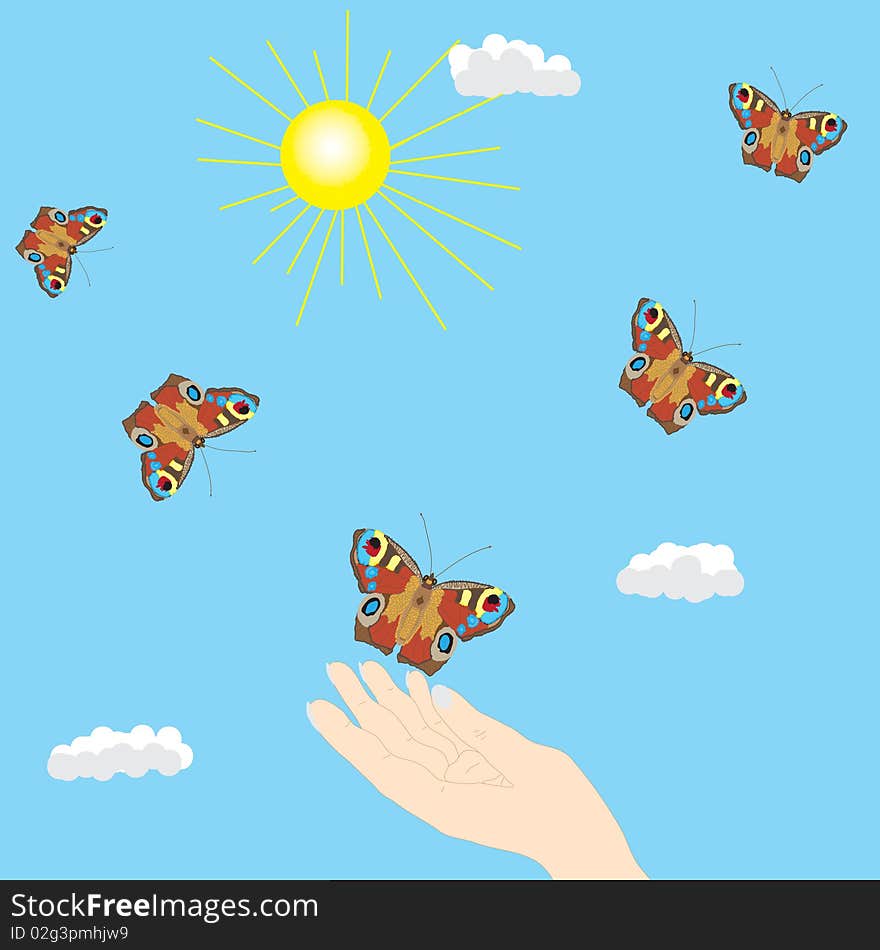 Butterfly in the sky and hand