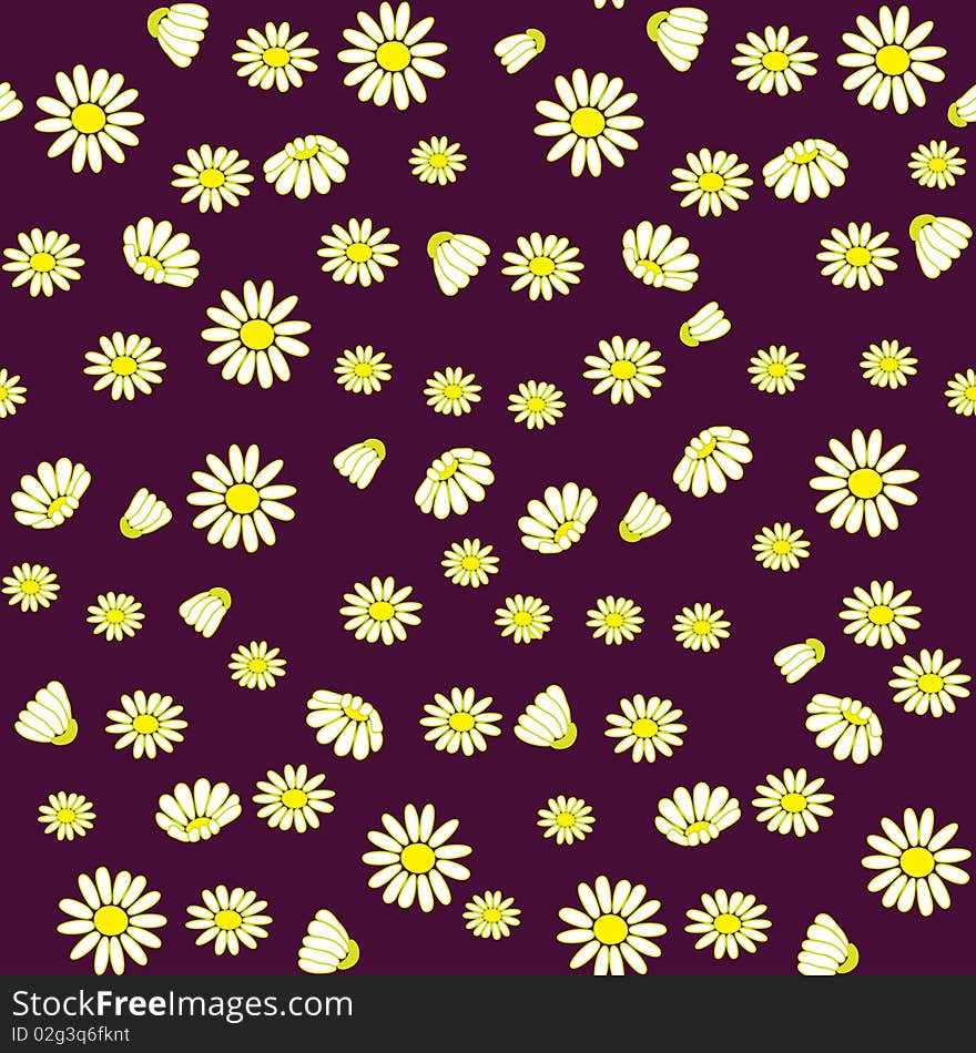 Seamless  Pattern With Camomiles