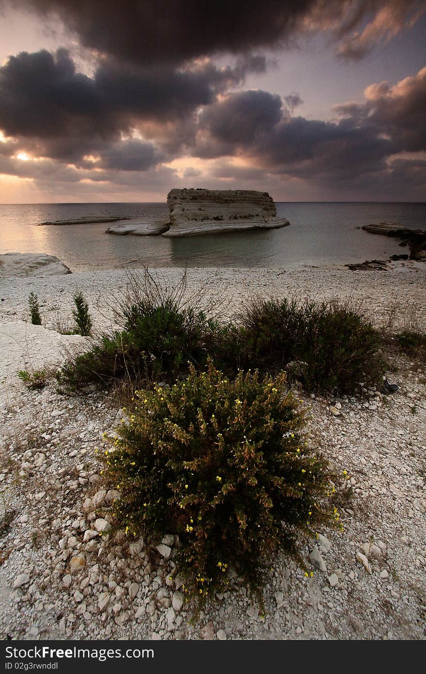 Beach In Syria