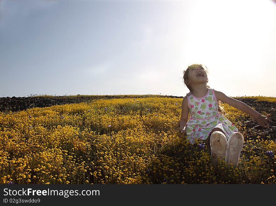 Little girl sitting in a yellow field of flowers looking up a the sky