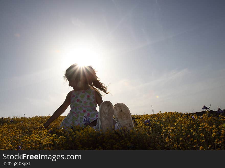 Little girl sitting in a field of yellow flowers with the sun behind her. Little girl sitting in a field of yellow flowers with the sun behind her