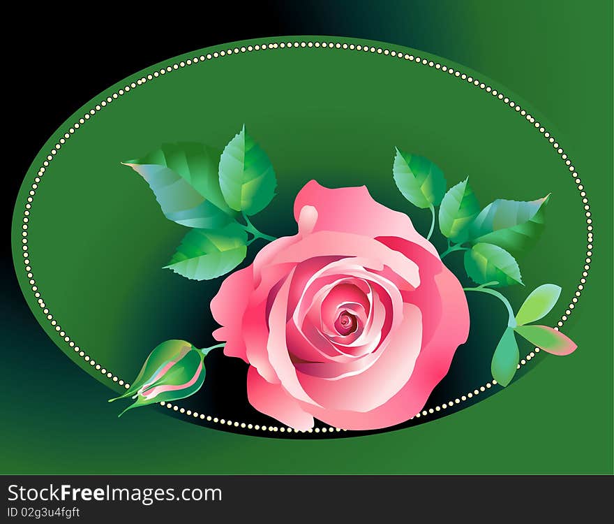 Rose pink, it's composition for covers and other design. Vector eps file. Rose pink, it's composition for covers and other design. Vector eps file