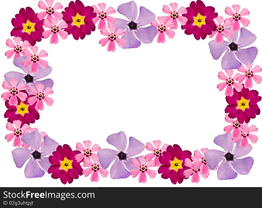 Flower Frame 3