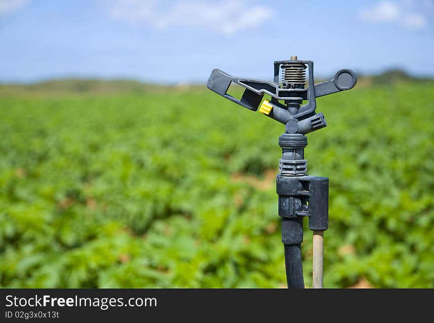 Sprinkler close up in a potato field