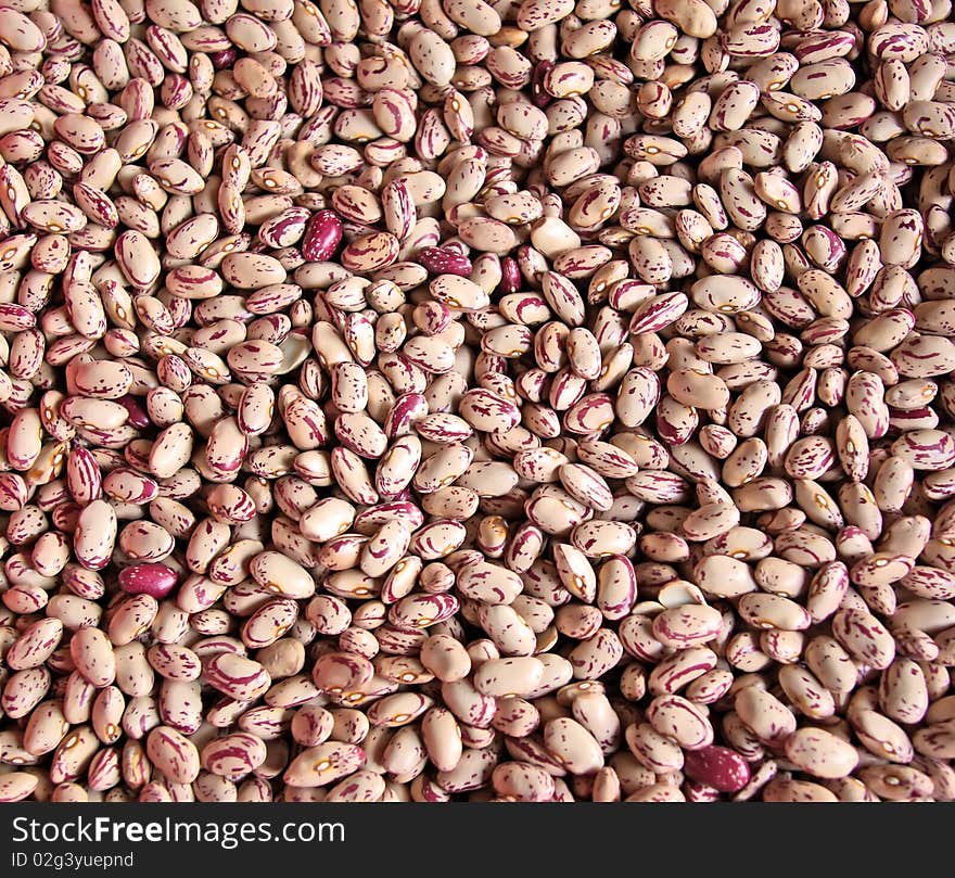 Photography red beans like background