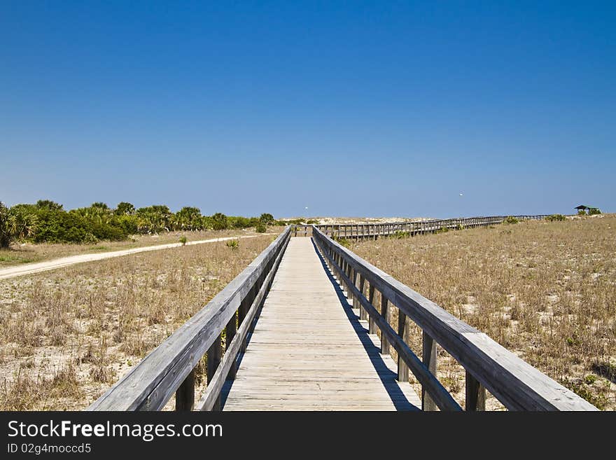 Boardwalk in the dunes