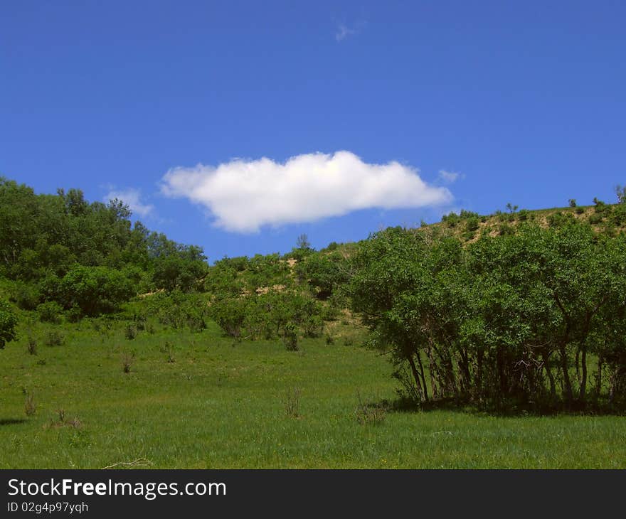 Prairie In The Nothern Part Of China