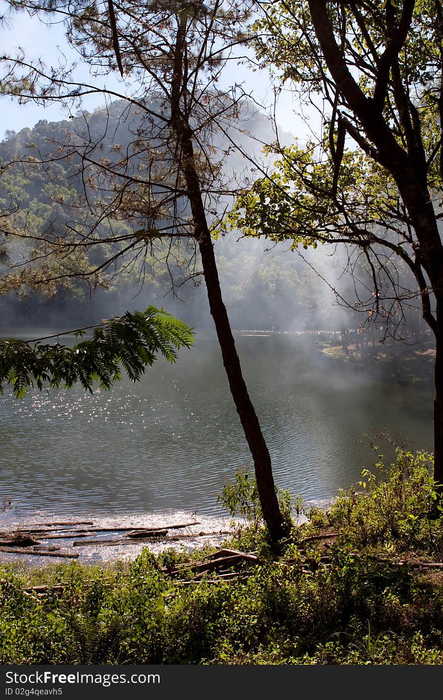 Mist In River