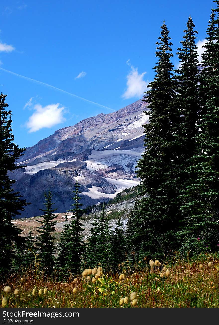 Mount Rainier