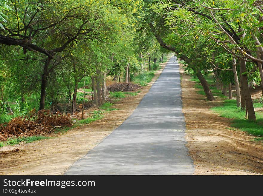 This picture shows a road to a village surrounded by trees at both sides. This picture shows a road to a village surrounded by trees at both sides.