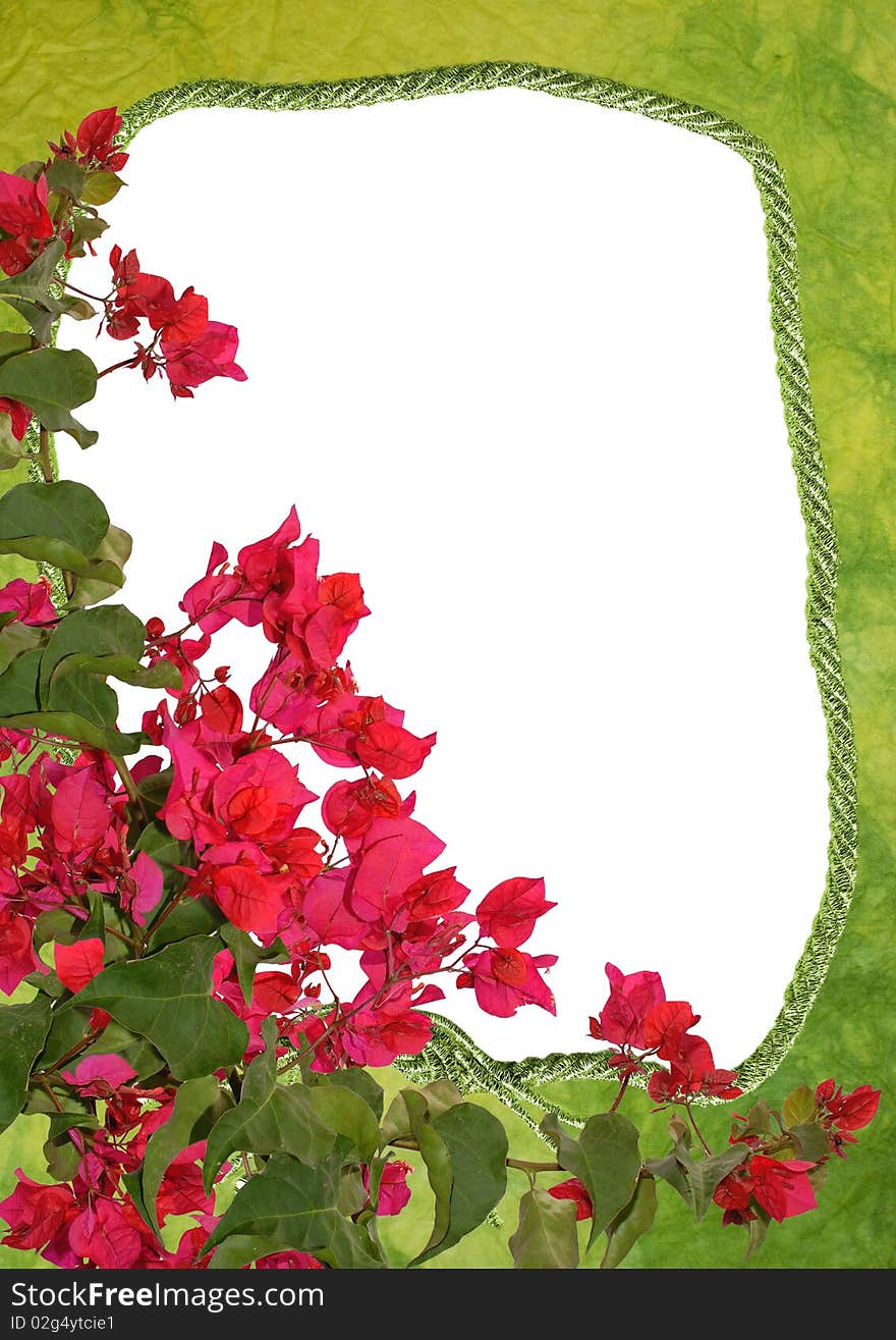 Decorative frame with floral garland - bougainvillea - background for your text or picture. Decorative frame with floral garland - bougainvillea - background for your text or picture